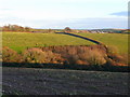 Looking east towards Norton