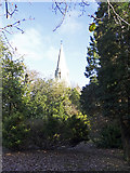 TQ2993 : Christ Church from Minchenden Oak Garden by Christine Matthews