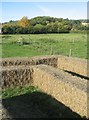 Bales of hay