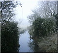 2008 : Stream at Brasspan Bridge