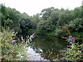 Remains of Ketley Canal