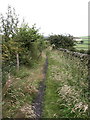 SK0287 : Bridleway to Little Hayfield from Bank Cottages by Ian Balcombe