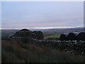 Ruin near Banks Farm