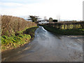 Road east down Marcle Hill