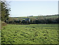 2008 : Pasture near Egford, Frome