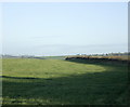 2008 : Pasture on the road to Nunney