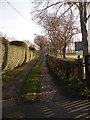 Lane by the Cricket Club