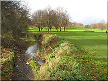 NY9364 : Cockshaw Burn and (part of) Tyne Green (2) by Mike Quinn