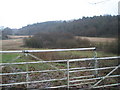 View from gateway just off Echo Pit Road back up onto Pewley Down