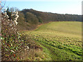 Grassland below Bellingdon