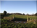 Fields in Swarcliffe