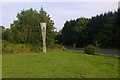 Surrey Hills Sculpture, Pebble Hill