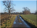 Chapel Farm Lane, looking east