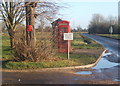 Lane towards Yaxley in Mellis