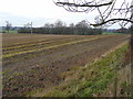 Arable land west of Sandy Lane