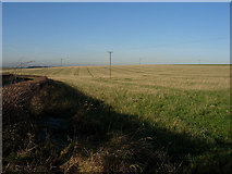 TL5854 : Grass field by Hugh Venables