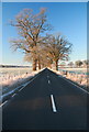 The A 984 towards Meikleour