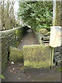 Footpath to Wainhouse Tower