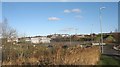 View across reed beds towards the closed Eastman Peboc plant