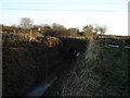 Nursery  Bridge  Ottringham