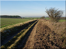 TL5754 : Byway to A11 and Fulbourn by Hugh Venables
