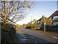 Fir Tree Walk, Enfield