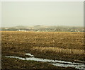 2008 : North from Paulton Lane