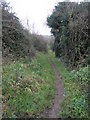 Path running parallel between the M27 and Anson Grove