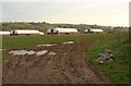 Chicken housing near Rattery