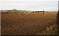 Tilled field near Drybridge Cross