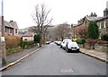 Albert Road - looking down from Titus Street