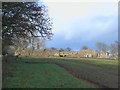 Field of winter cereal with ruined Roddam Rigg in the background