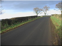 NU0718 : Country lane approaching Beanley by ian shiell