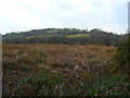 Tir Amaethyddol ger Harford / Agricultural land near Harford