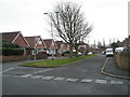 Looking southwards down Pamela Avenue