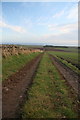 Footpath South of Braeside