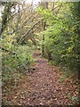 SU5469 : Footpath on Bucklebury Common by Mr Ignavy