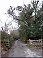 Cattle grid near Moorland Close Roborough Down