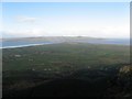 Binevenagh forest