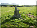 Bodfan Standing Stone