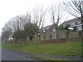 Winter trees in Dore Avenue