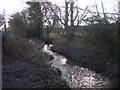 The Glynch Brook near the Pepper Mill