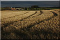 Stubble field and Middle Buildings