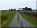 Lon wledig ger Graigwen / Country lane near Griagwen