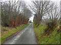 Lon wledig ger Pont Creuddyn / Country lane near Pont Creuddyn