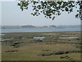 View from near East Newhall towards Erwarton Ness