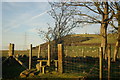 Stile on the waymarked path leading towards Law Hill