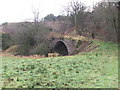 Old Bridge at Castleton Farm, King Edward