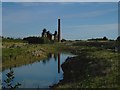 SK4964 : Pleasley - Colliery from Country Park pond by Dave Bevis
