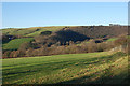 Field east of Llanfihangel y Creuddyn